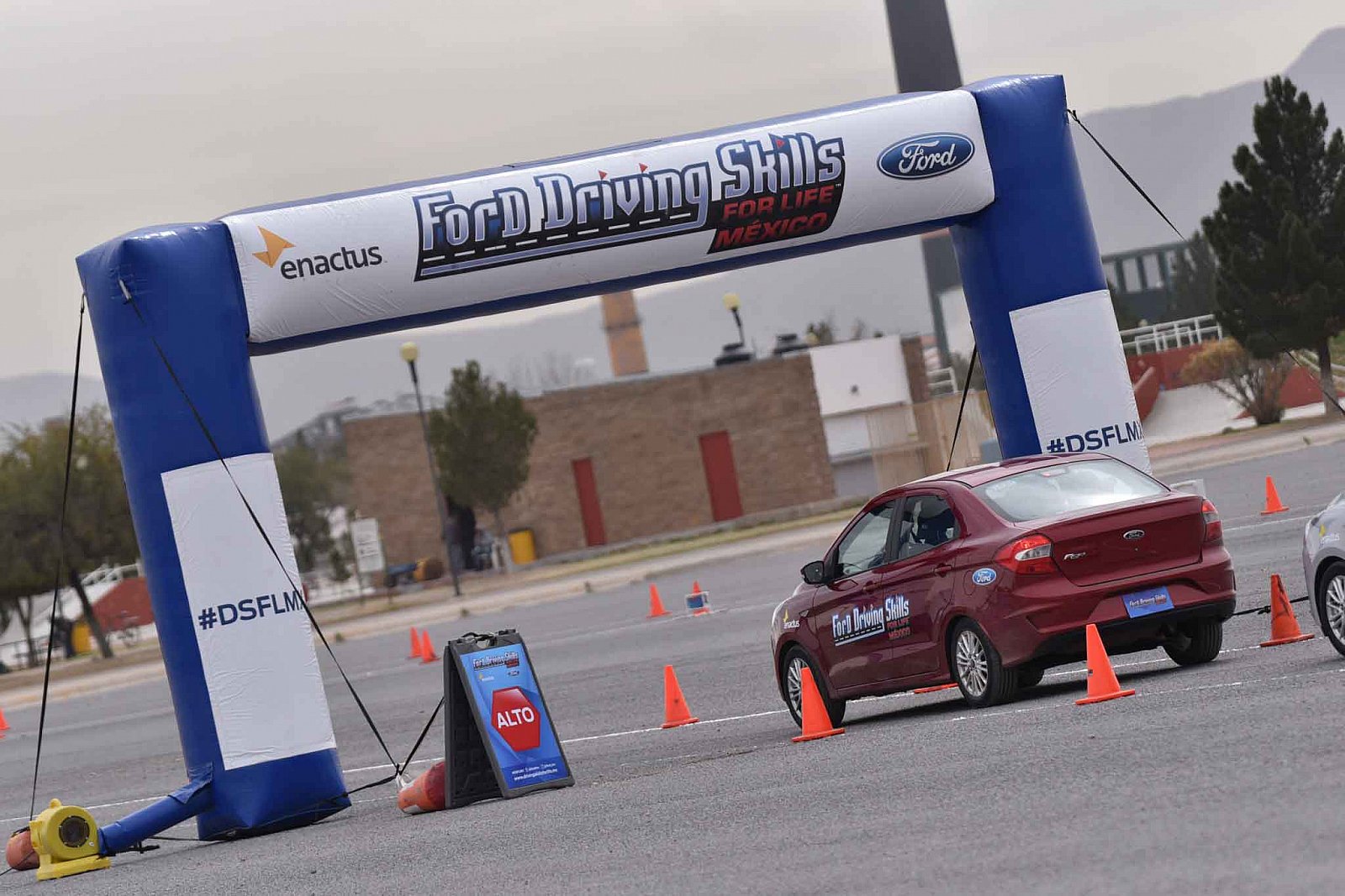 Ford DSFL Chihuahua - 2019