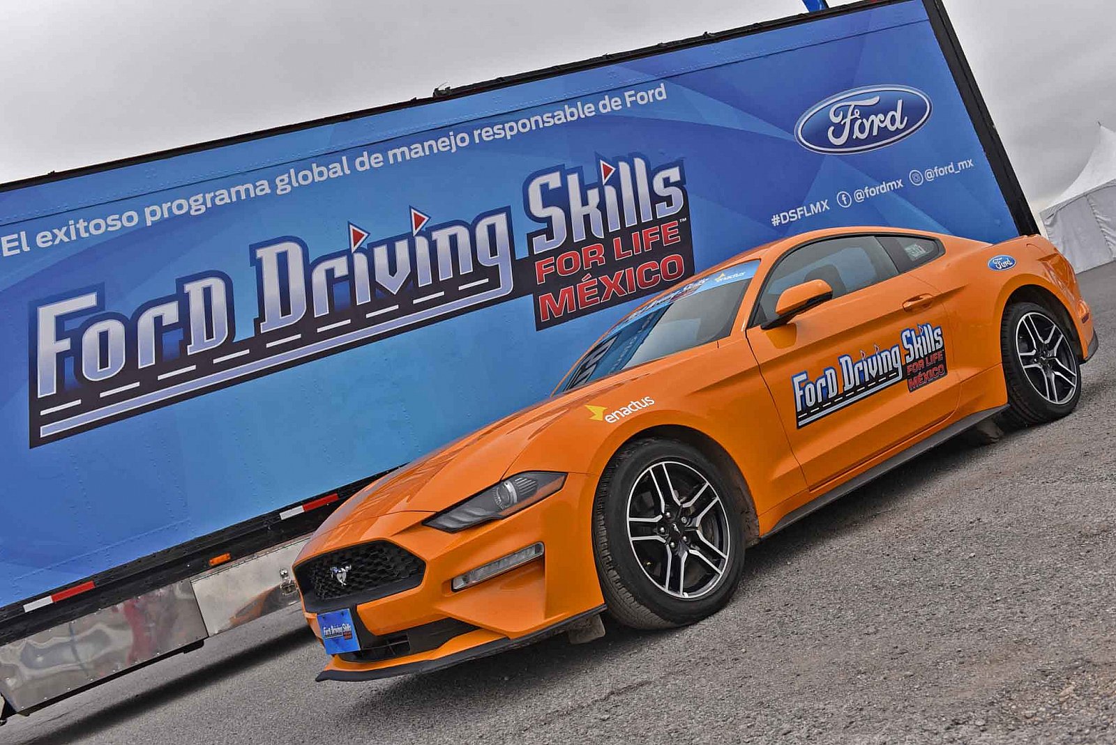 Ford DSFL Chihuahua - 2019