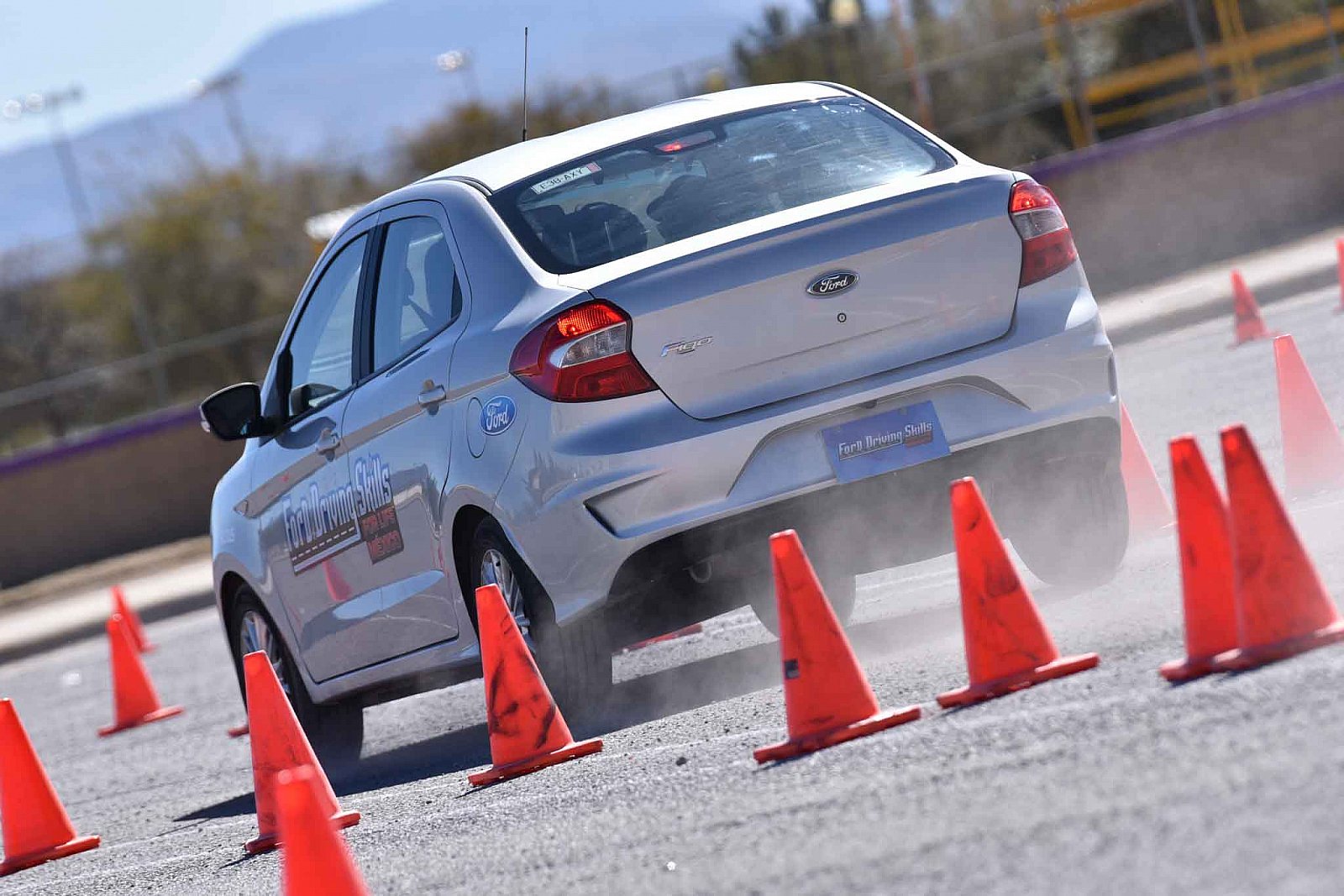 Ford DSFL Chihuahua - 2019