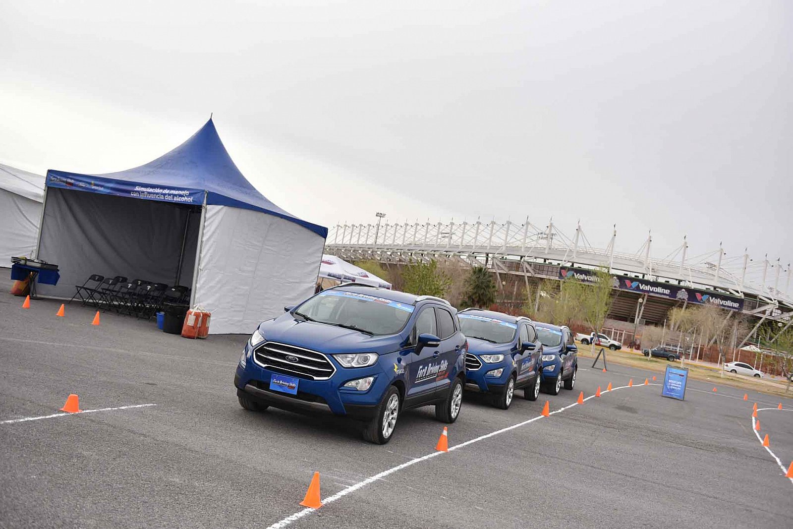 Ford DSFL Chihuahua - 2019