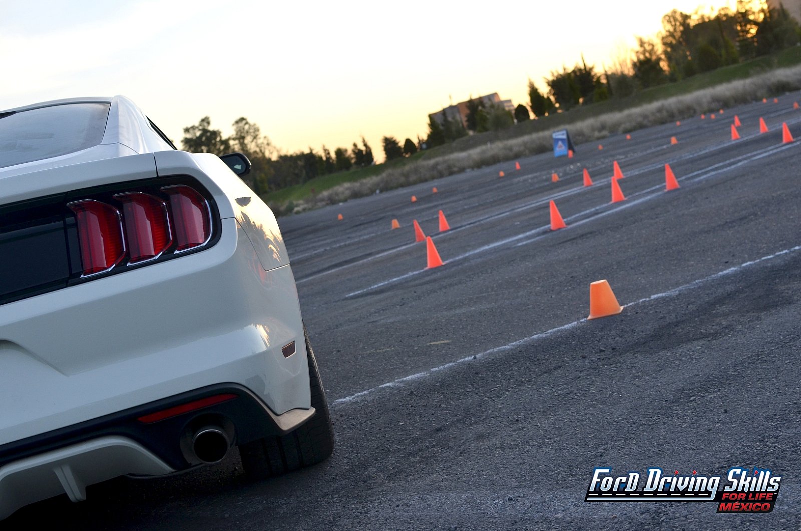 Ford DSFL México – Sede Guadalajara